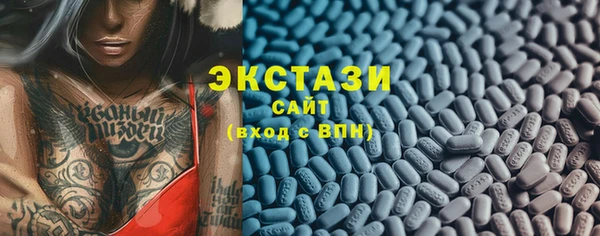 стаф Алексин