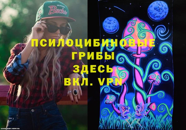 стаф Алексин